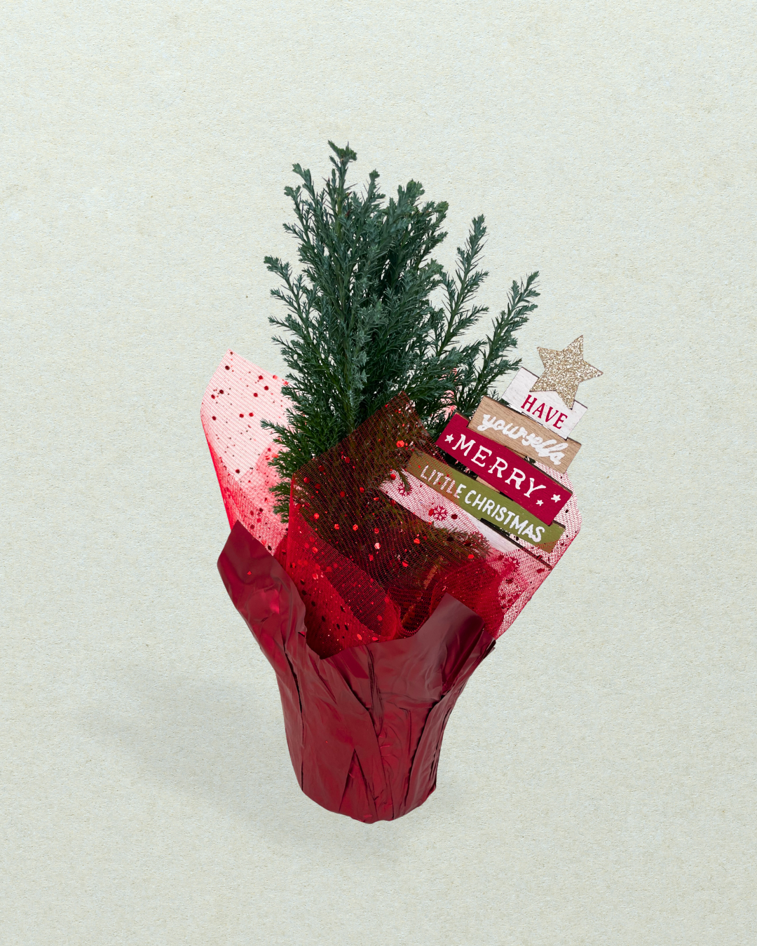 Cypress Christmas Tree