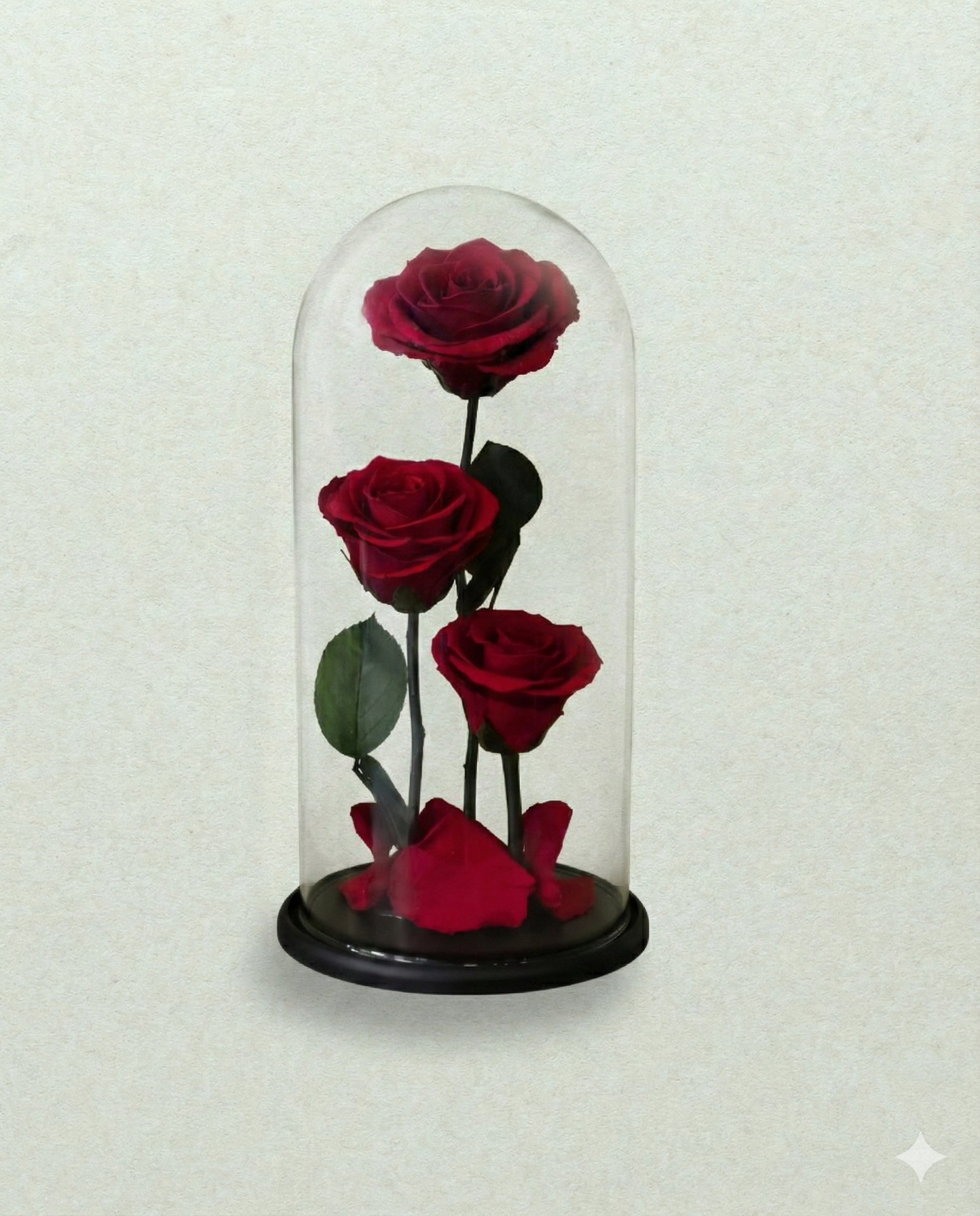 Everlasting Preserved Roses: Eternal Petals
