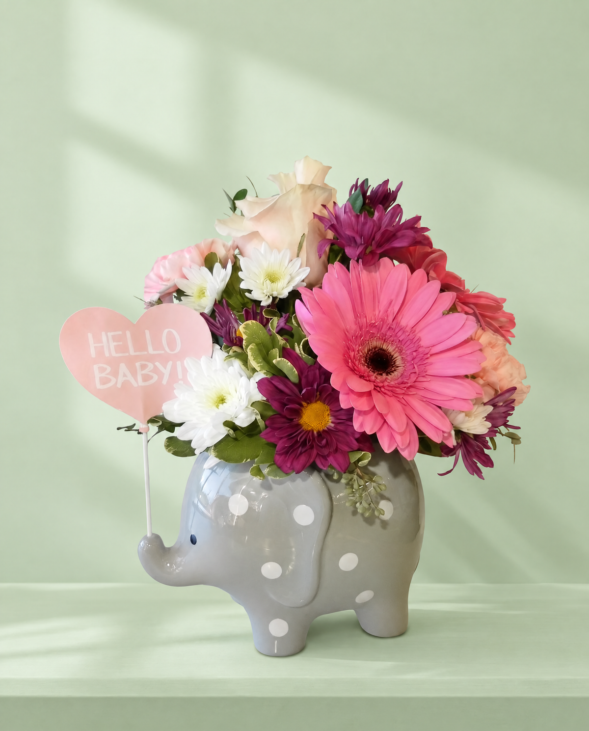Sweet Baby Elephant