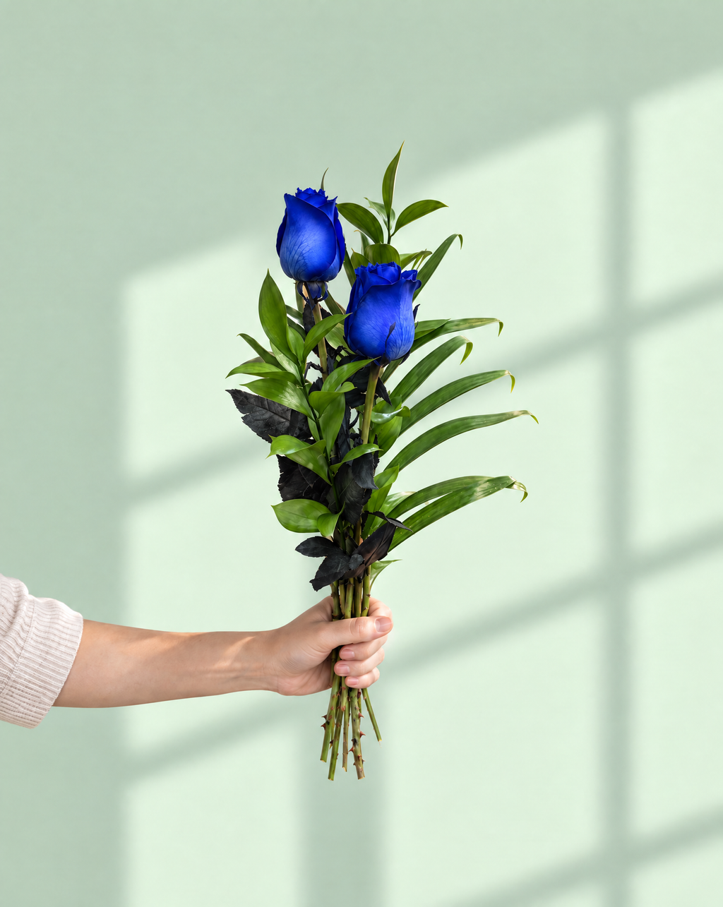 2 Blue Roses