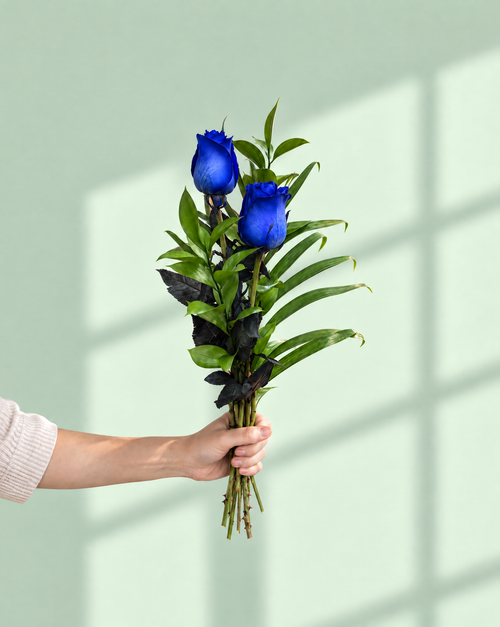 2 Blue Roses