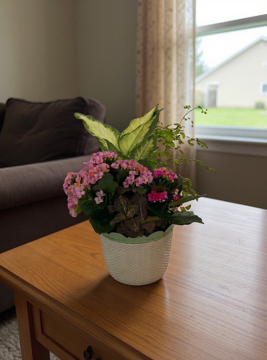 Lakewood Florist Little Garden planter with pink kalanchoe, fittonia, and variegated foliage.